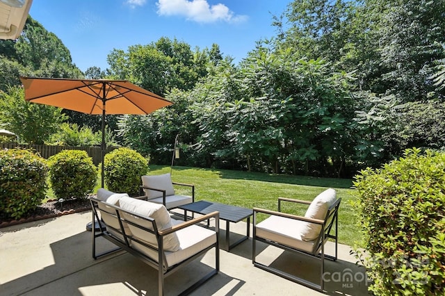 15508 Normans Landing Dr, Charlotte, NC 28273 - photo 41