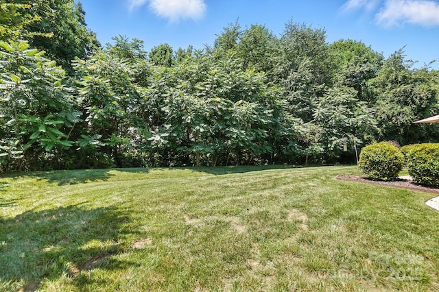 15508 Normans Landing Dr, Charlotte, NC 28273 - photo 44