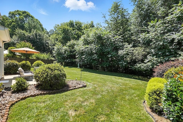 15508 Normans Landing Dr, Charlotte, NC 28273 - photo 45