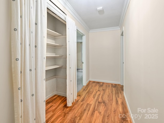 8 Mayfair Dr, Candler, NC 28715 - hallway with ornamental molding and light wood finished floors