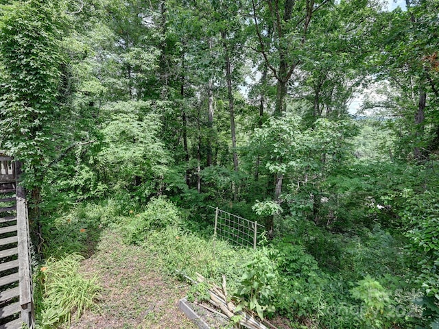 8 Mayfair Dr, Candler, NC 28715 - view of local wilderness