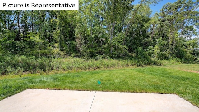1400 Secrest Commons Dr, Monroe, NC 28112 - view of green lawn with a patio