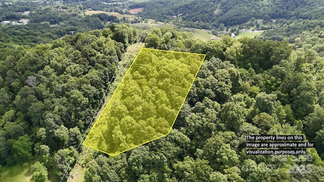 00 Liner Cove Rd Unit 2, Waynesville, NC 28786 - photo 1
