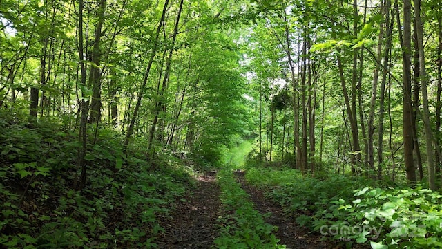 00 Liner Cove Rd Unit 2, Waynesville, NC 28786 - photo 3