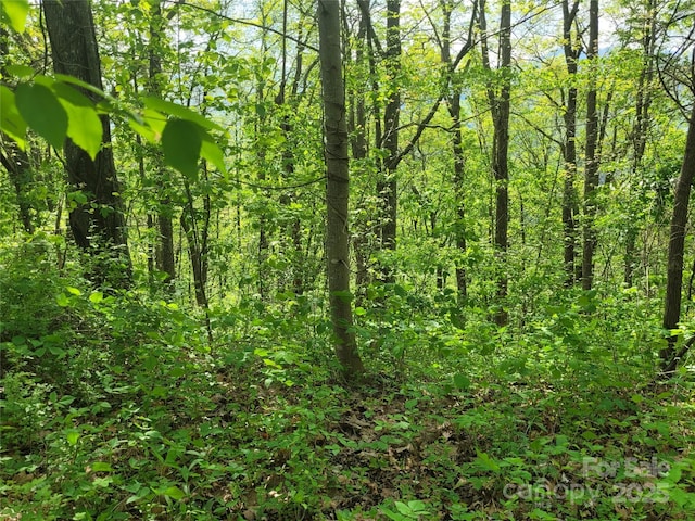 00 Liner Cove Rd Unit 2, Waynesville, NC 28786 - photo 5