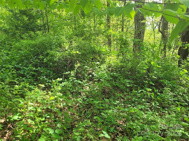00 Liner Cove Rd Unit 2, Waynesville, NC 28786 - photo 6