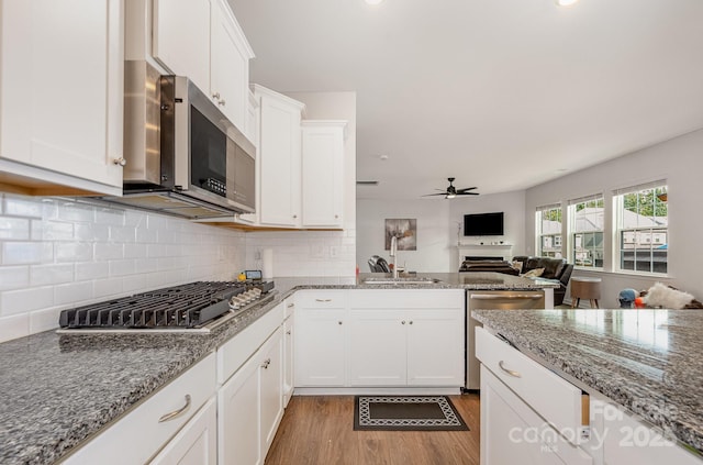5580 Soft Shell Dr, Lancaster, SC 29720 - kitchen featuring stainless steel appliances, a ceiling fan, white cabinets, light wood-style floors, and open floor plan