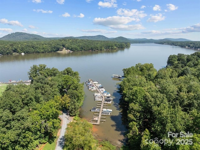130 Jubal Reeves Cir, Mount Gilead, NC 27306 - photo 9