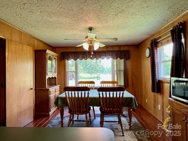 795 Monte Vista Rd, Candler, NC 28715 - dining room featuring dark wood-type flooring, wood walls, ceiling fan, healthy amount of natural light, and ornamental molding