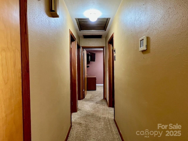 795 Monte Vista Rd, Candler, NC 28715 - hall featuring carpet flooring