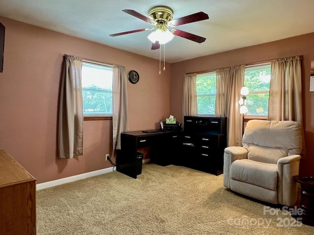 795 Monte Vista Rd, Candler, NC 28715 - home office with ceiling fan, healthy amount of natural light, and light carpet