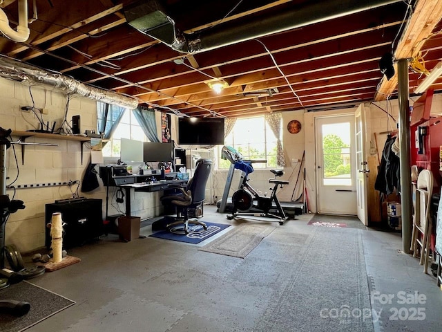 795 Monte Vista Rd, Candler, NC 28715 - below grade area featuring plenty of natural light and concrete block wall