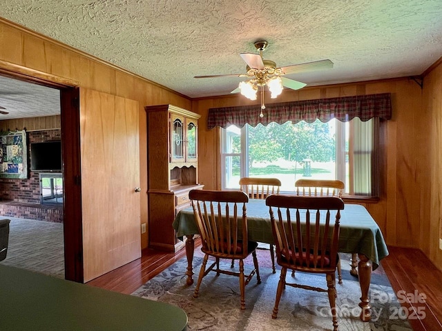 795 Monte Vista Rd, Candler, NC 28715 - photo 12