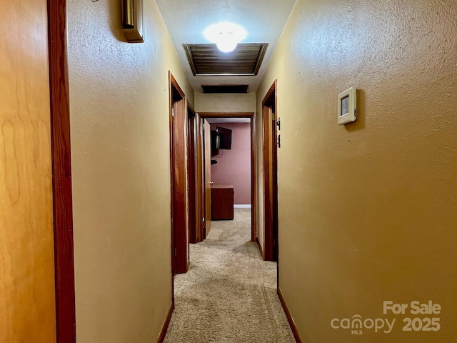 795 Monte Vista Rd, Candler, NC 28715 - photo 16