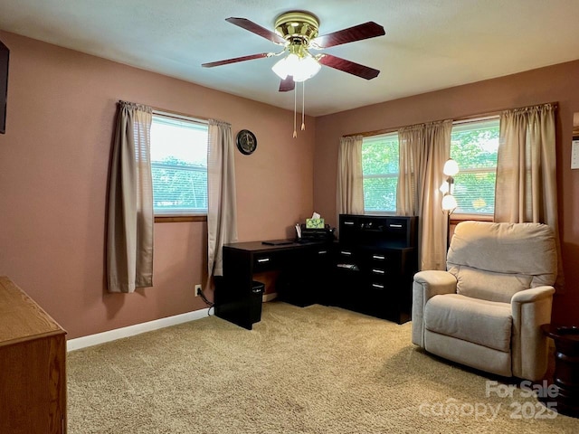 795 Monte Vista Rd, Candler, NC 28715 - photo 23