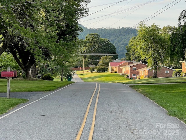 795 Monte Vista Rd, Candler, NC 28715 - photo 29