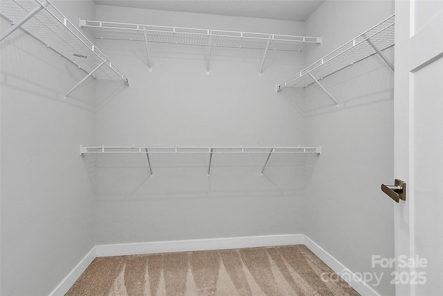 7079 Waterwheel St SW, Concord, NC 28025 - walk in closet with carpet floors