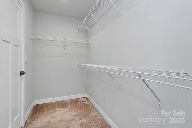 7079 Waterwheel St SW, Concord, NC 28025 - spacious closet with carpet floors