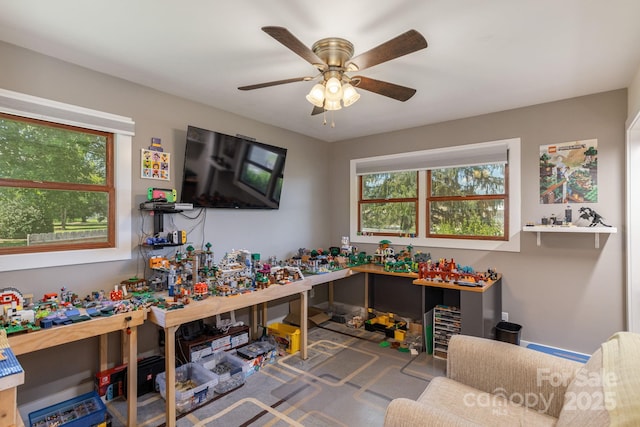16 School House Rd, Mills River, NC 28759 - photo 29