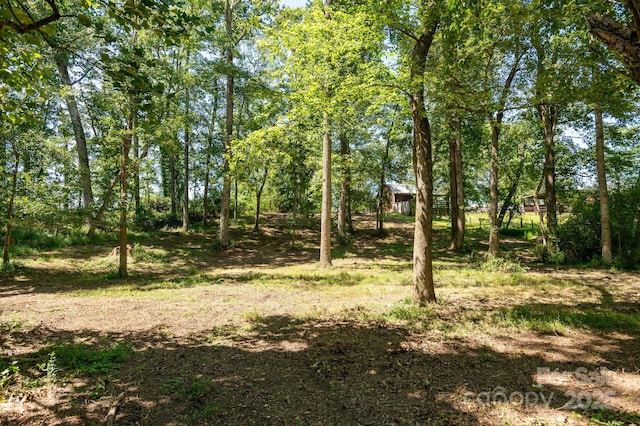 16 School House Rd, Mills River, NC 28759 - photo 42