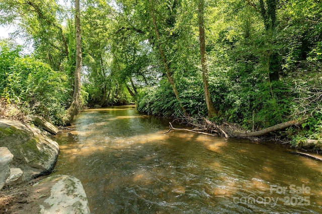 16 School House Rd, Mills River, NC 28759 - photo 45