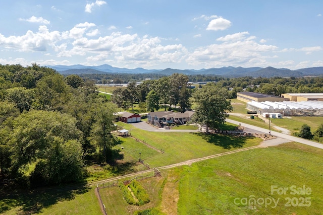 16 School House Rd, Mills River, NC 28759 - photo 48