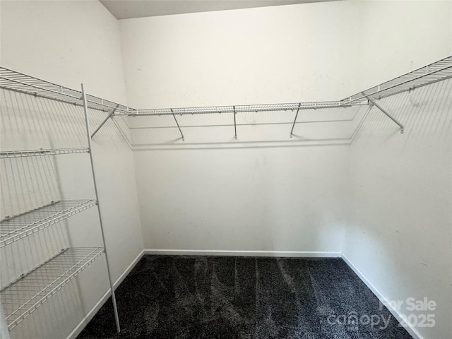 11109 Pond Valley Ct, Charlotte, NC 28269 - walk in closet with carpet
