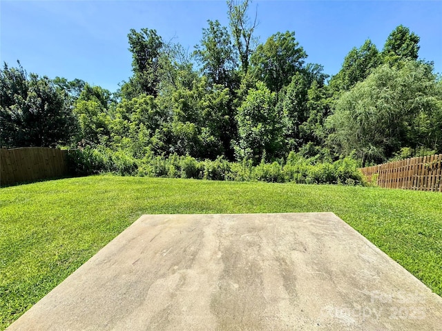 11109 Pond Valley Ct, Charlotte, NC 28269 - photo 42