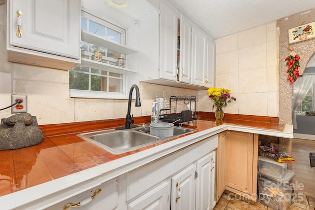 8301 Pine Oak Rd, Waxhaw, NC 28173 - kitchen with a sink and white cabinets