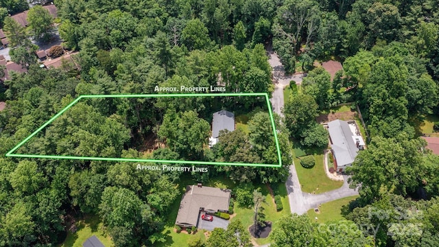 104 Britton Ave, Hendersonville, NC 28791 - aerial overview of property's location featuring property parcel outlined