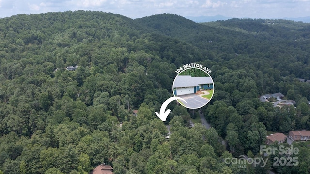 104 Britton Ave, Hendersonville, NC 28791 - aerial view of a forest and a mountain backdrop