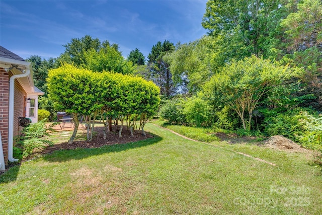 2289 Veery Ln, Rock Hill, SC 29732 - photo 31