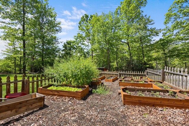 27 Rosebud Ln, Fairview, NC 28730 - view of yard with a garden