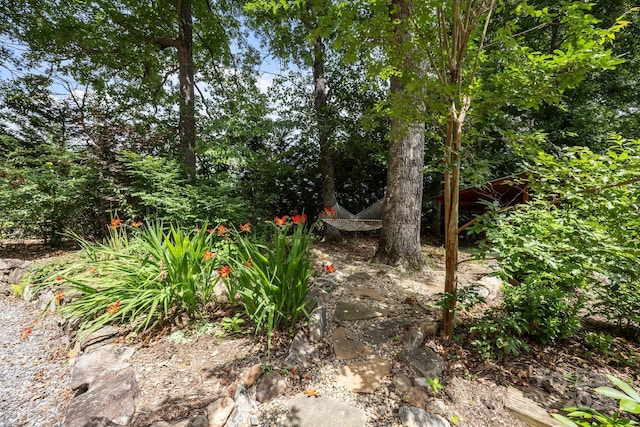 27 Rosebud Ln, Fairview, NC 28730 - view of yard