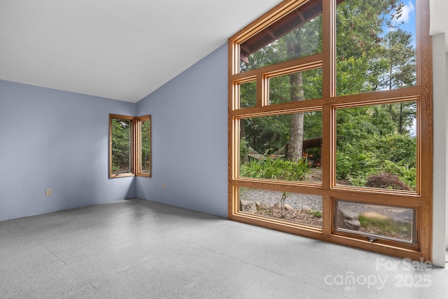 27 Rosebud Ln, Fairview, NC 28730 - unfurnished living room with vaulted ceiling and plenty of natural light