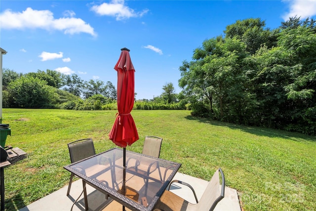 4732 Gibbons Link Rd, Charlotte, NC 28269 - photo 3