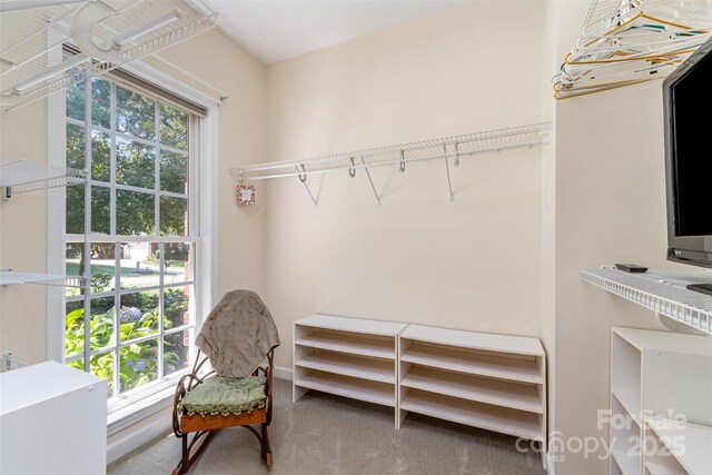 2909 Arbor Knl, Concord, NC 28025 - photo 21