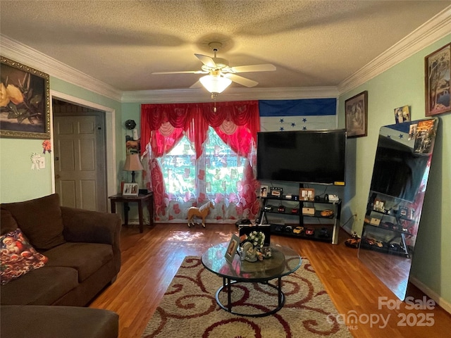 6708 Nutcracker Pl, Charlotte, NC 28212 - living room with wood finished floors, a ceiling fan, a textured ceiling, and crown molding