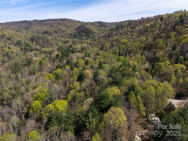 2668 Reedy Branch Rd, Purlear, NC 28665 - view of property location featuring a heavily wooded area