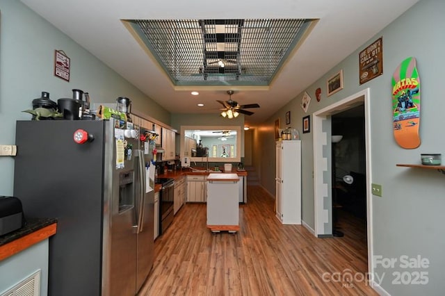 2668 Reedy Branch Rd, Purlear, NC 28665 - kitchen featuring stainless steel appliances, a tray ceiling, light wood finished floors, and ceiling fan