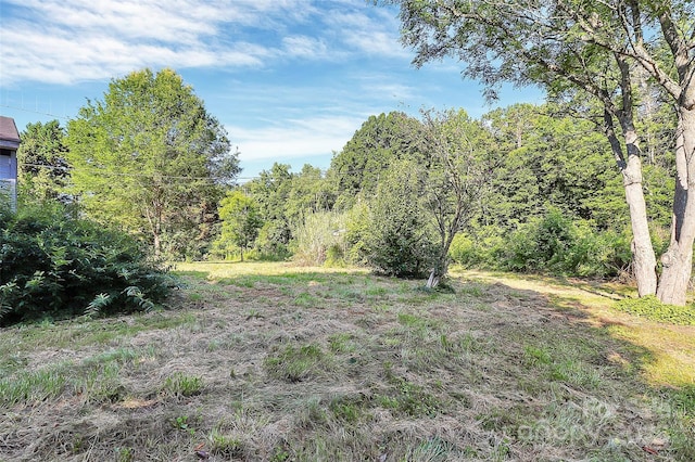 112 Harmony Trl, Gastonia, NC 28056 - view of yard
