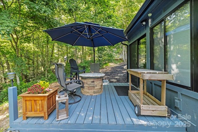2440 W Cumming Woods Ln, Hendersonville, NC 28739 - photo 10