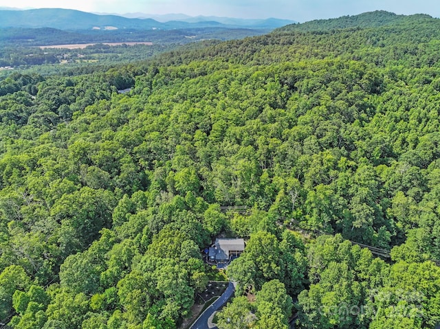 2440 W Cumming Woods Ln, Hendersonville, NC 28739 - photo 21