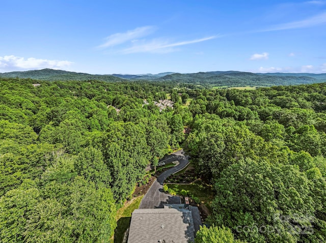 2440 W Cumming Woods Ln, Hendersonville, NC 28739 - photo 22