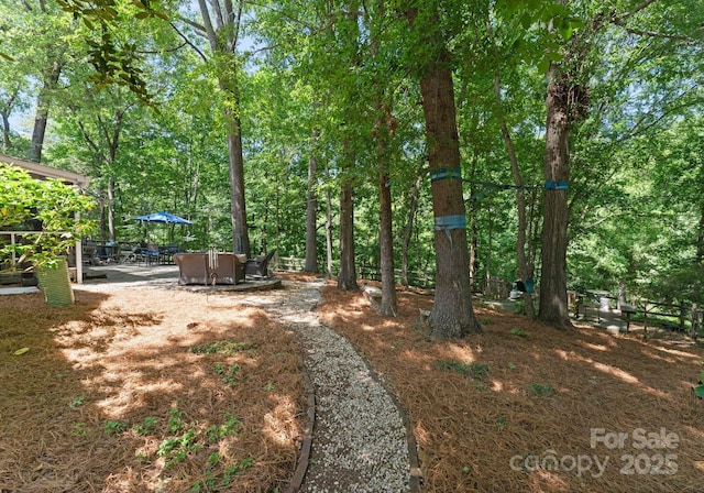 9141 Covey Hollow Ct, Charlotte, NC 28210 - view of yard featuring a patio