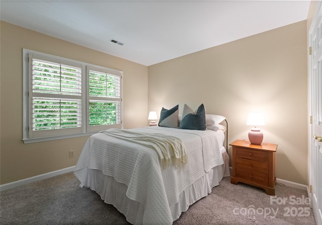 9141 Covey Hollow Ct, Charlotte, NC 28210 - bedroom with light carpet