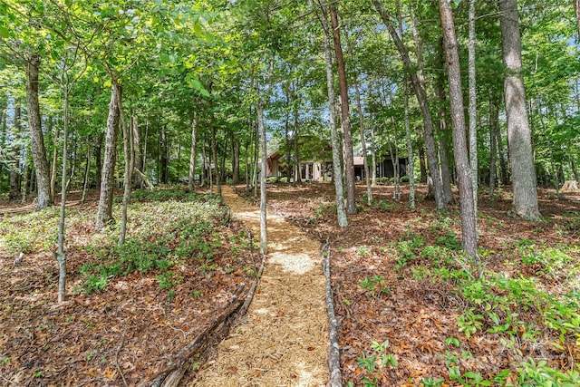 429 Turtle Head Dr, Nebo, NC 28761 - view of yard