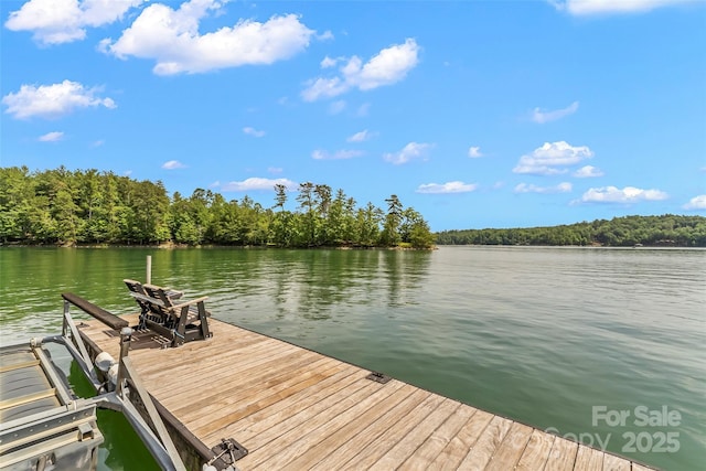 429 Turtle Head Dr, Nebo, NC 28761 - dock featuring a water view