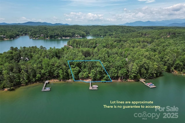 429 Turtle Head Dr, Nebo, NC 28761 - view of property location with a water and mountain view and property boundaries highlighted