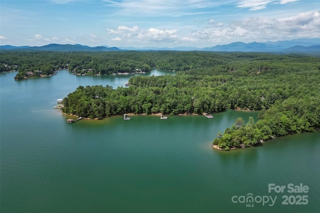429 Turtle Head Dr, Nebo, NC 28761 - bird's eye view of a forest and a water and mountain view